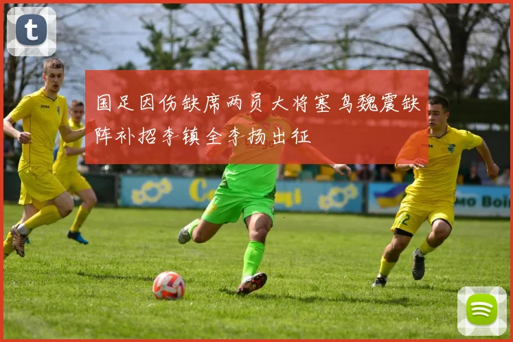 国足因伤缺席两员大将塞鸟魏震缺阵补招李镇全李扬出征