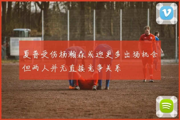 夏普受伤杨瀚森或迎更多出场机会但两人并无直接竞争关系