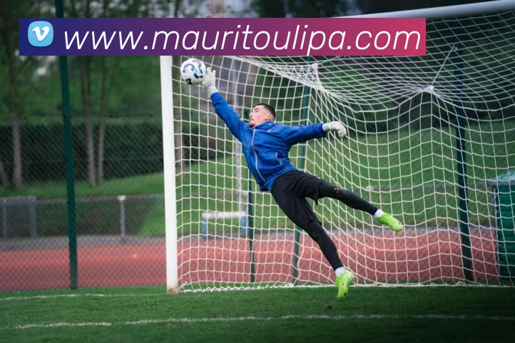 星空官方网站服务体系